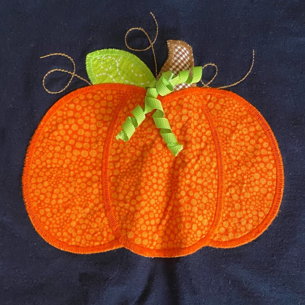 HP| Bailey Boys Fall Pumpkin Matching Set Size 6X - Picture 3 of 8